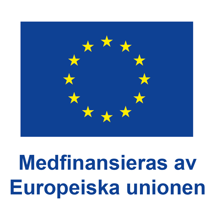 Europeiska Socialfonden